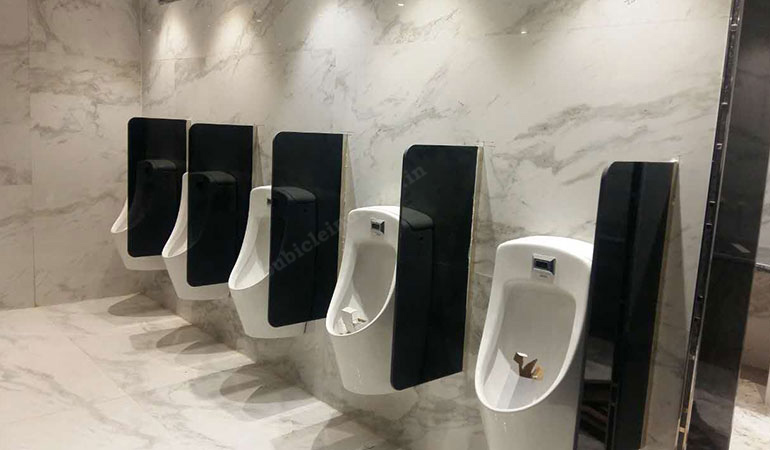 Urinal Partition