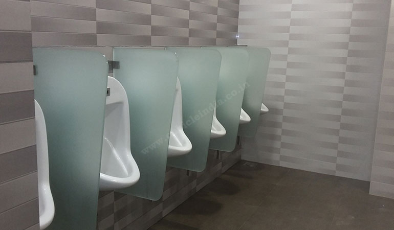 Urinal Partition